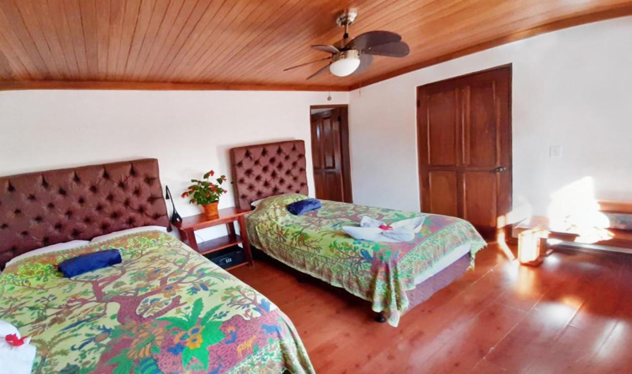 Luna Inn B&B Ciudad Cariari 外观 照片