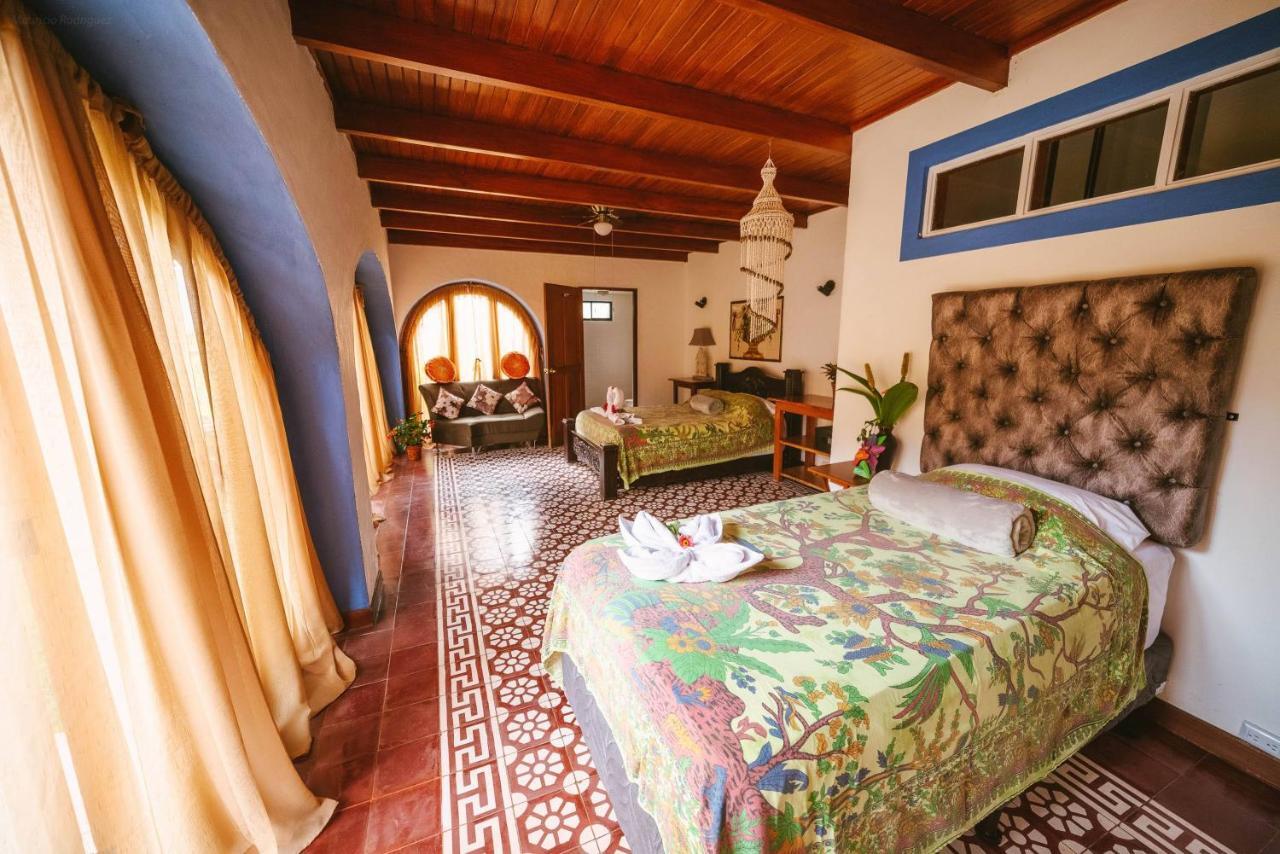 Luna Inn B&B Ciudad Cariari 外观 照片
